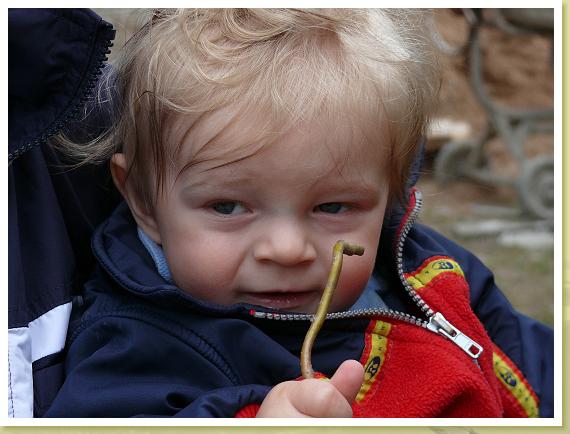 P1000545
